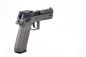 Preview: CZ P-09